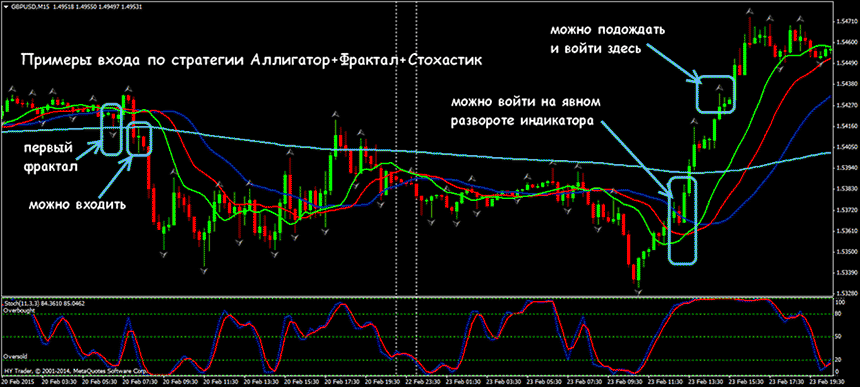 alligator-forex.png