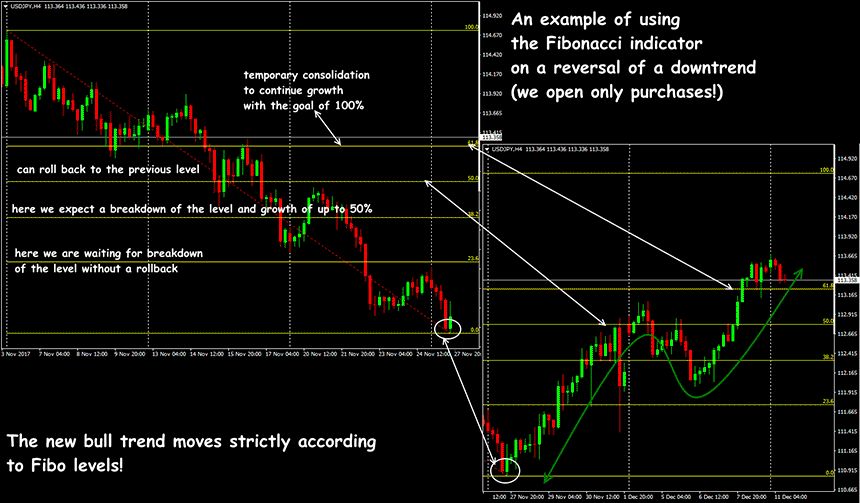 fibo-indicator