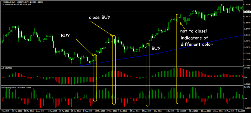 trend finder strategy