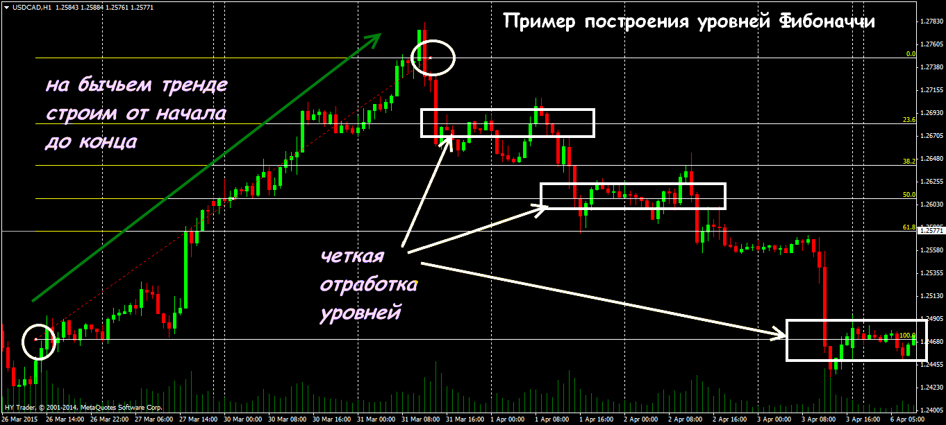Фибоначчи форекс