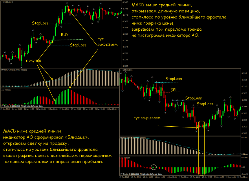 macd стратегия форекс