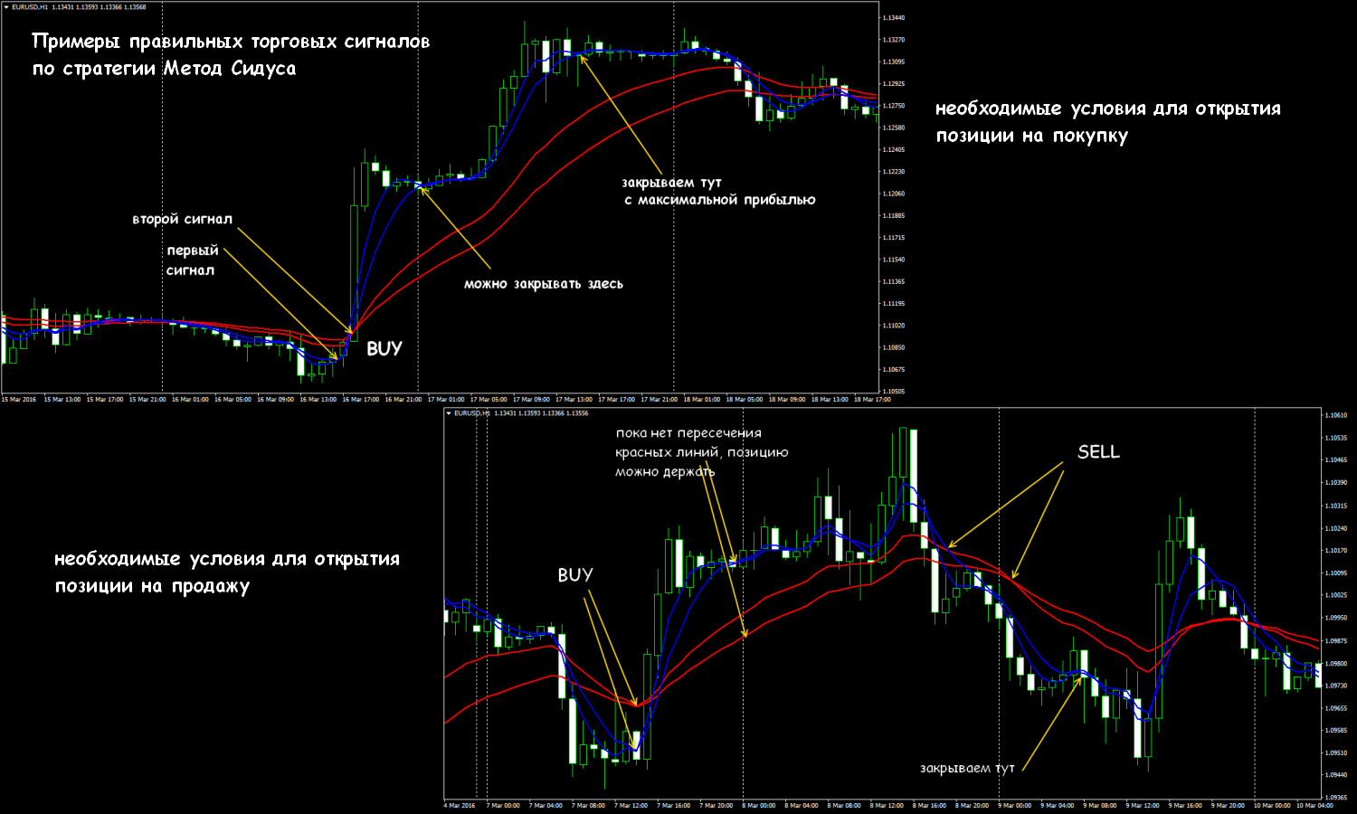 Метод сидуса форекс